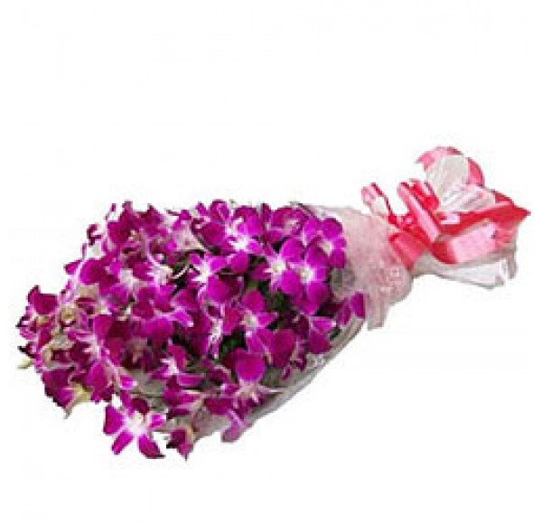 Exotic Blooms Purple Orchid Stems Bunch